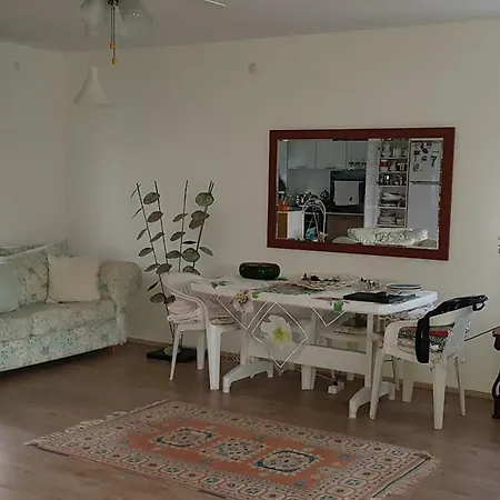 Erdemil Mevkii Geris Alti Mahallesi Dalyan Caddesi Oraz Sitesi Tatil Evi *