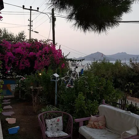 Tatil Evi Erdemil Mevkii Geris Alti Mahallesi Dalyan Caddesi Oraz Sitesi