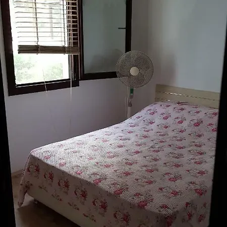 Erdemil Mevkii Geris Alti Mahallesi Dalyan Caddesi Oraz Sitesi * Bodrum